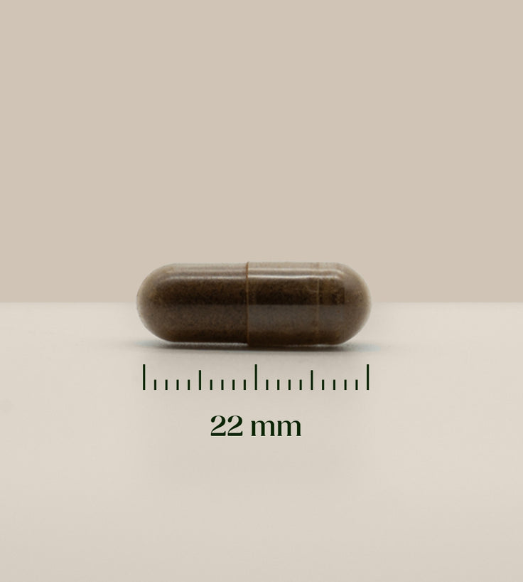 Grootte van Ashwagandha capsule 22mm