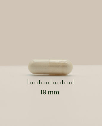 Hairgivers Biotine supplement 1000 mcg | 120 capsules (Vitamine B8) Biotine 60 capsules