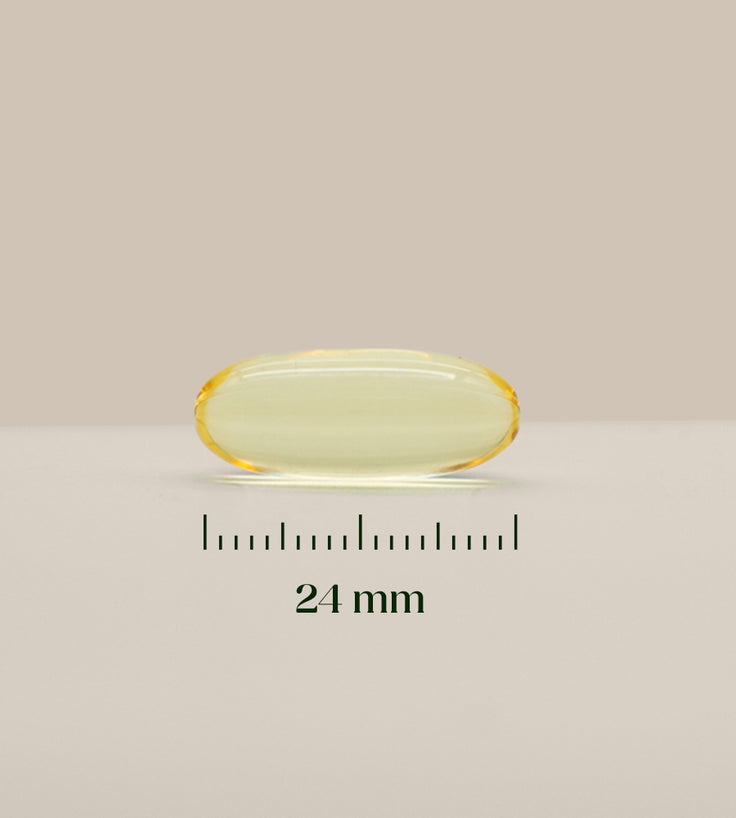 Grootte van Omega 3 capsule 24 mm