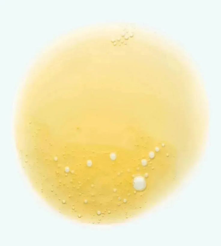 Klorane shampoo voor droog haar Mango (400 ml) - Hairgivers