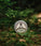 Mr. Bear Family baardbalsem - Wilderness (60 ml) - Hairgivers