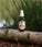Mr. Bear Family baardolie - Citrus (60 ml) - Hairgivers