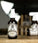 Mr. Bear Family baardolie - Citrus (60 ml) - Hairgivers