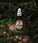 Mr. Bear Family baardolie - Woodland (60 ml) - Hairgivers