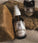 Mr. Bear Family baardolie - Woodland (60 ml) - Hairgivers