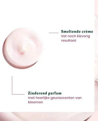 René Furterer Color Glow hittebeschermende crème René Furterer Color Glow hittebeschermende crème - Hairgivers