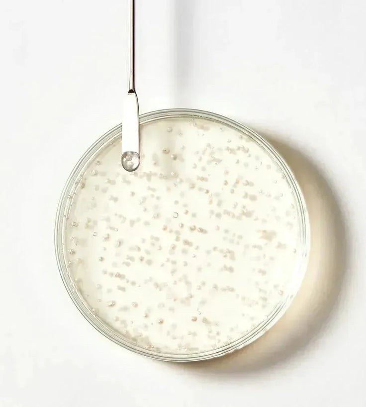 René Furterer Triphasic shampoo + conditioner - Hairgivers