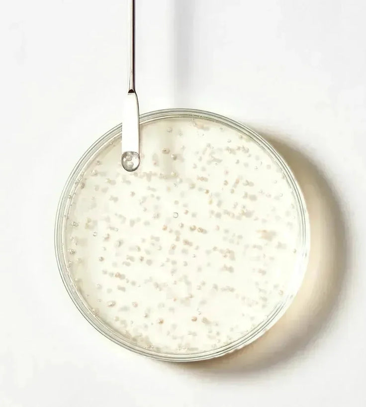 René Furterer Triphasic shampoo - Hairgivers