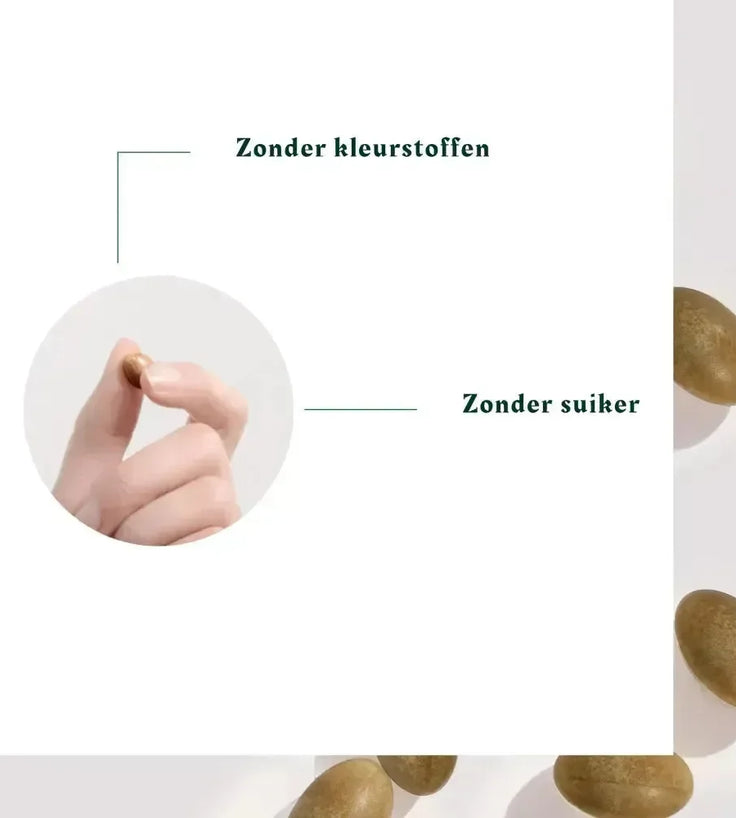 René Furterer Vitalfan Progressive supplement - Hairgivers