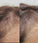Viviscal hair growth supplement voor vrouwen (1 mnd) - Hairgivers