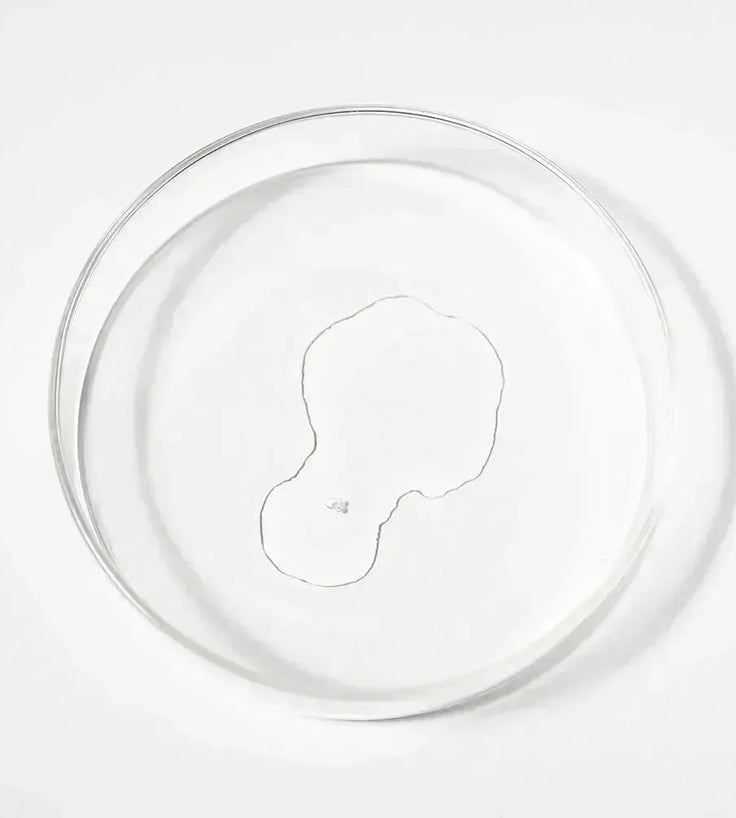 Scandinavian Biolabs Bio-Pilixin serum (man) - Hairgivers