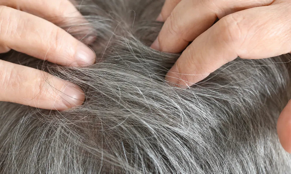 Hoe kun je grijs haar voorkomen?