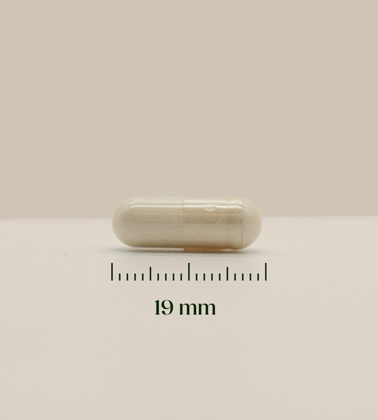 Grootte van biotine capsule 19 mm