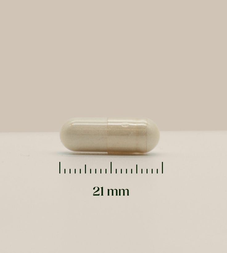 Hairgivers NAC supplement 600 mg | 120 capsules (N-Acetyl-L-Cysteïne)