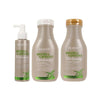 Beaver Biotin & Caffeine thickening scalp behandeling